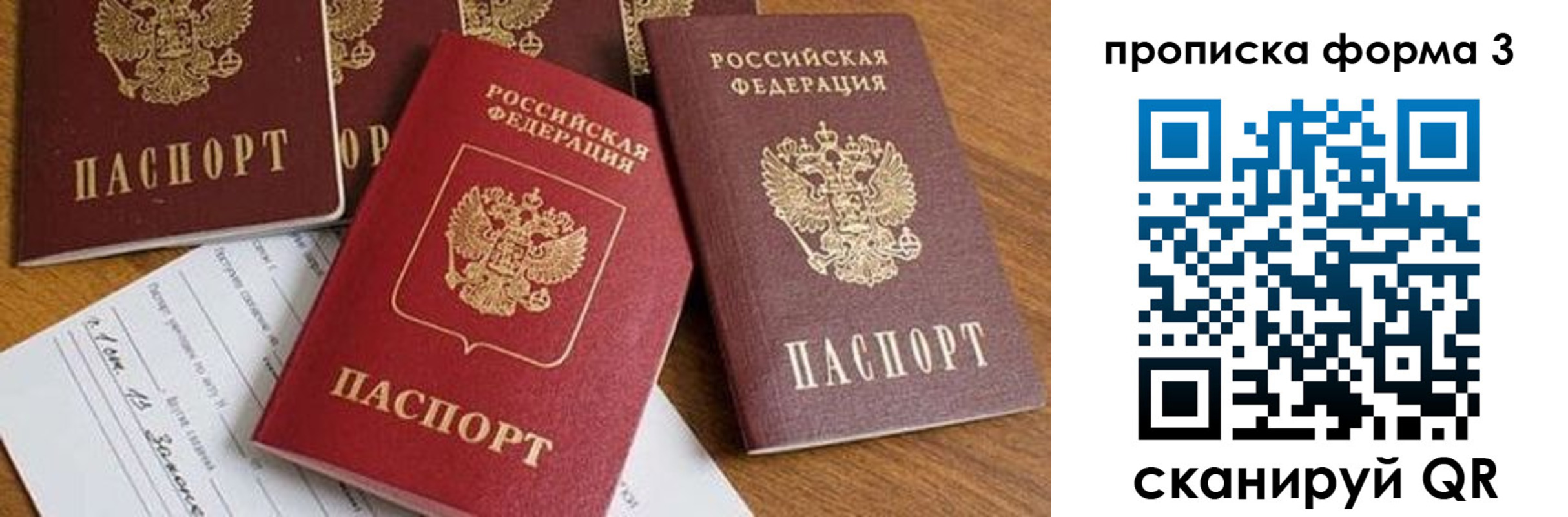 временная регистрация надежно в Амурской области
