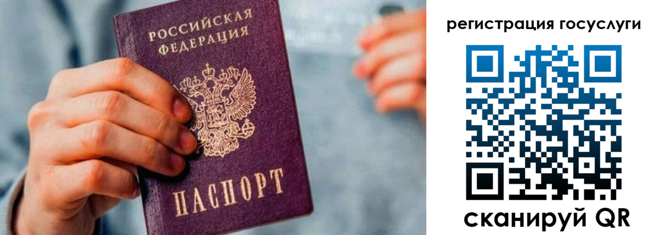форма 3 в Амурской области